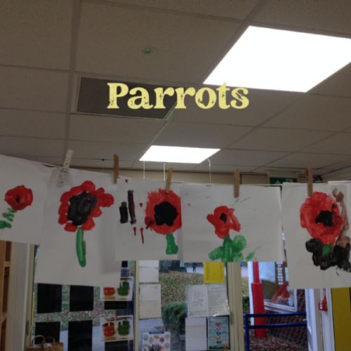 Parrots Y1.jpg