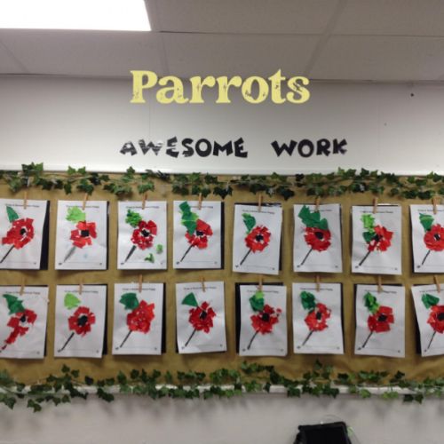 Parrots.jpg