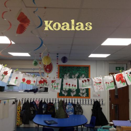 Koalas 1.jpg