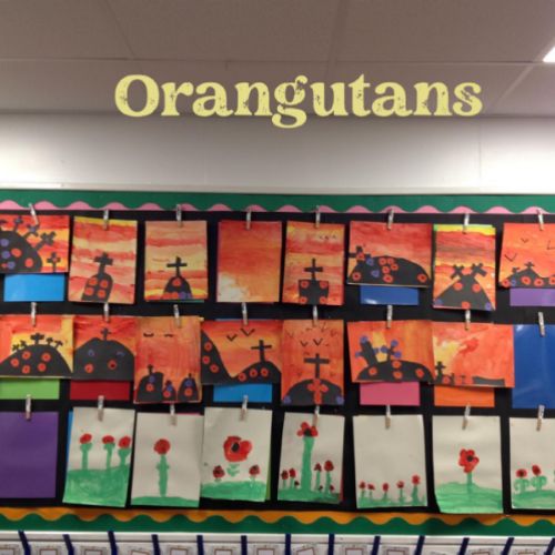 Orangutans.jpg