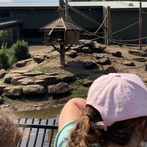 The Yorkshire Wildlife Park