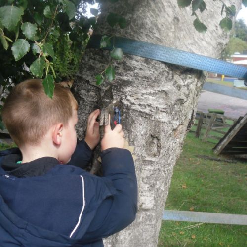 Forest School